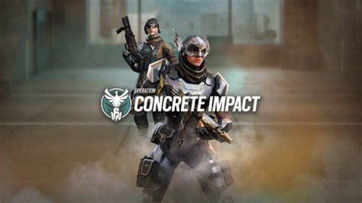 A Quick One Flocked Concrete **ON HOLD**
