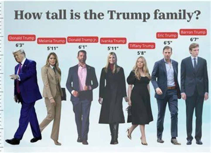 Discovering The Height Of Chumlee: How Tall Is He Really?