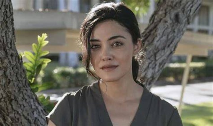 Seek The Truth: Uncover Yasmine Al-Bustami's Age