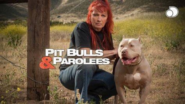 The Inspiring Journey Of Mariah On "Pit Bulls And Parolees"