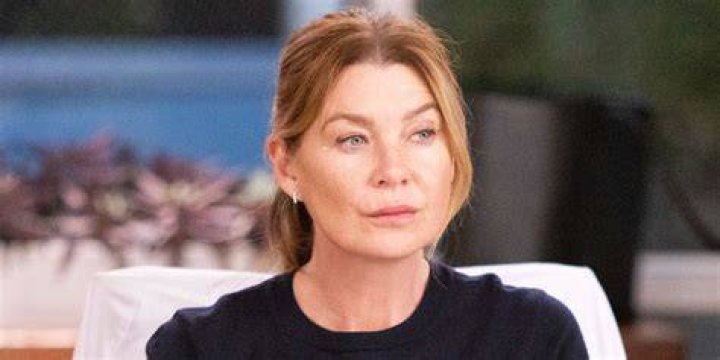 The Real Story Of Ellen Pompeo: From Grey's Anatomy Star To Healthcare Advocate