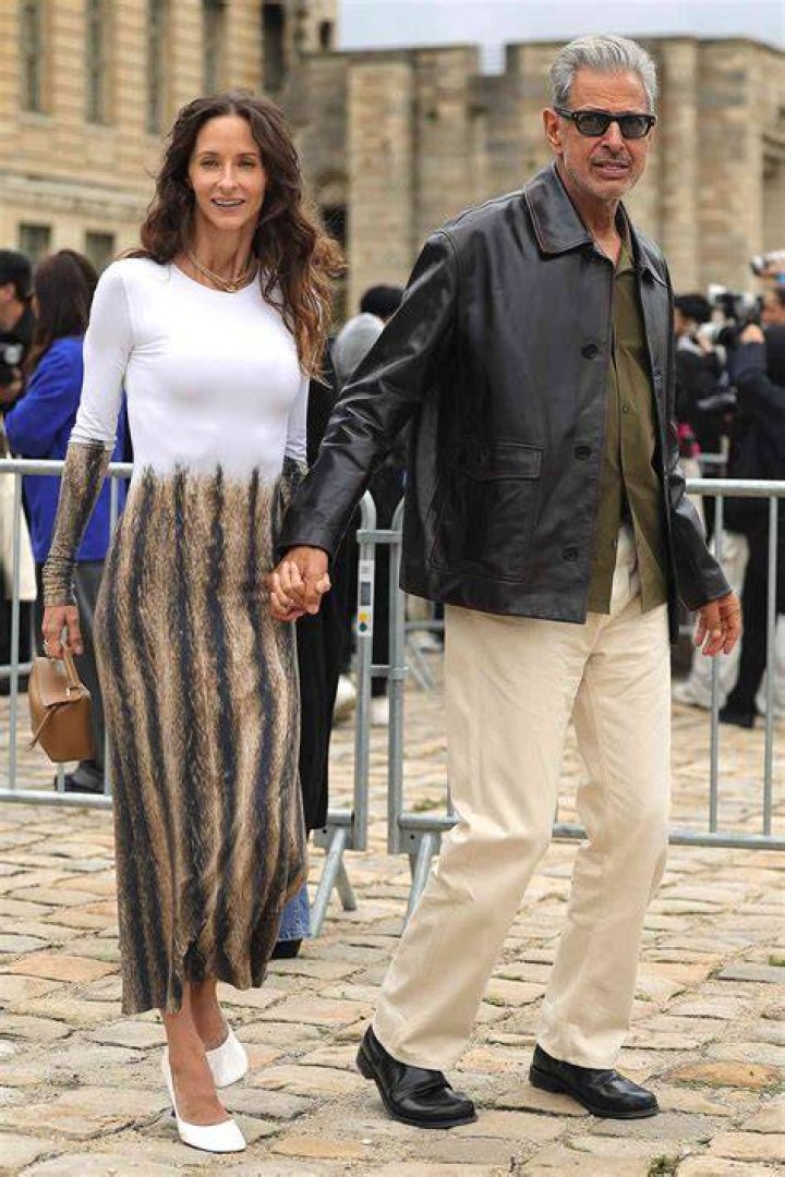 The Ultimate Guide To Jeff Goldblum's Wife: Emmanuelle Chriqui
