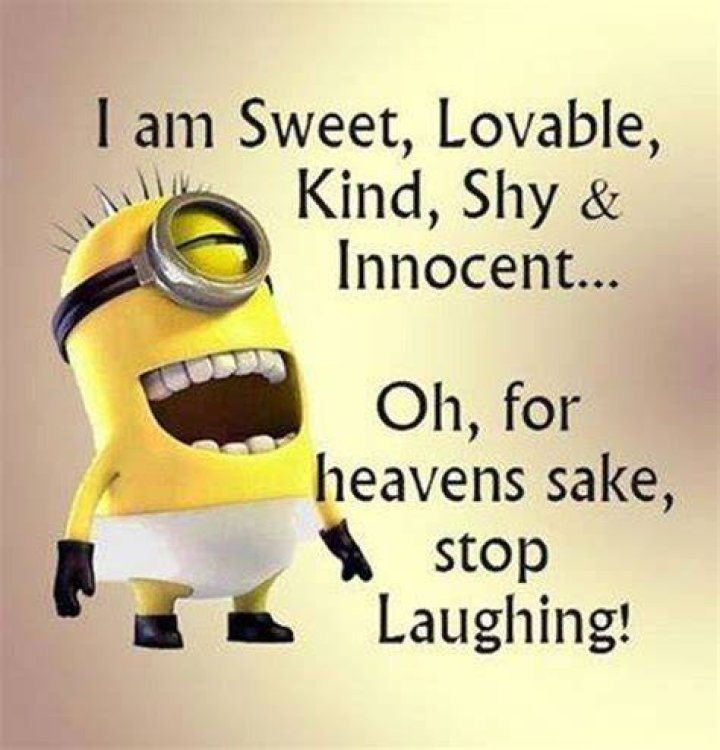 Top 40 Funniest Minions Sayings Quotes and Humor